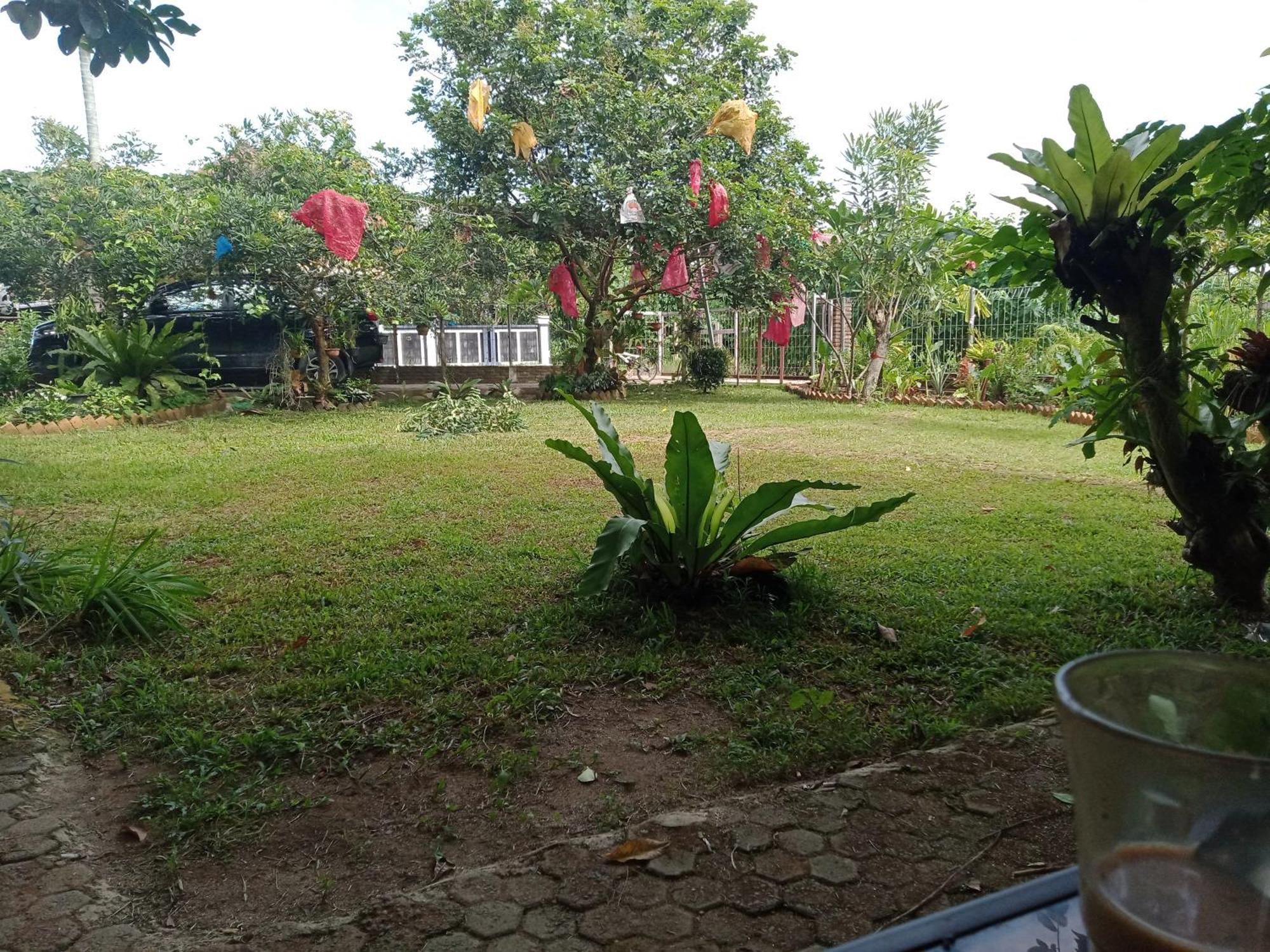 Bua Guest House Medan Extérieur photo